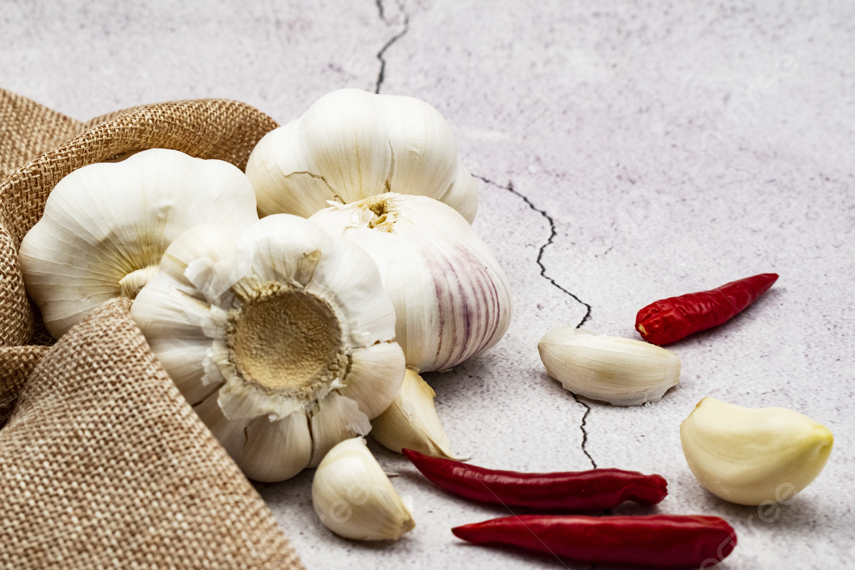 Garlic